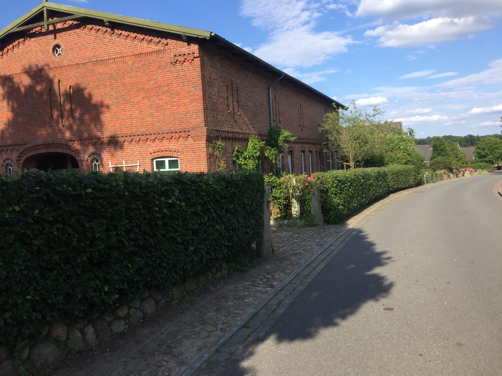 Geschnittene Hecke an einer Straße